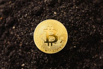 泰达币交易平台_虚拟货币排行榜前十名