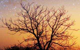 比特币交易平台许可_能交易比特币的平台