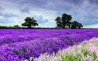 世界币交易所排名_交易所排名 最新版本