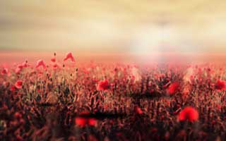 世界币交易所排名_交易所排名 最新版本